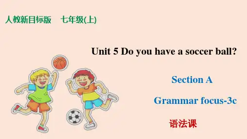 Unit 5  Section A Grammar Focus七年级英语上册课件(人教版新目标)