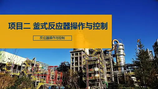 《反应器操作与控制》教学课件—02釜式反应器操作与控制