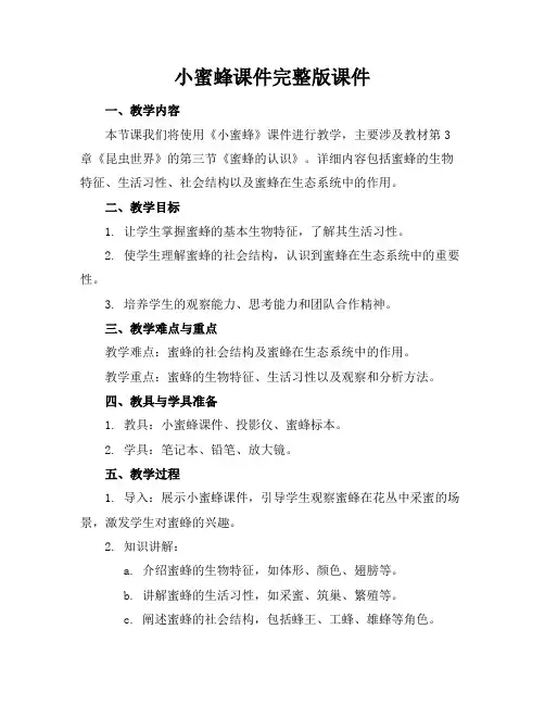 小蜜蜂课件完整版课件