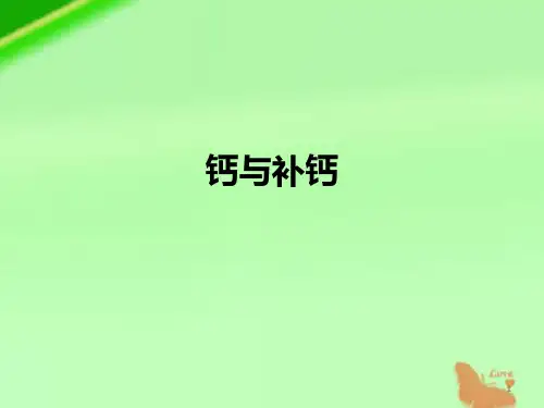 钙与补钙ppt课件