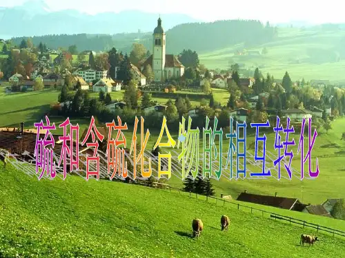 高一化学硫与含硫化合物的相互转化