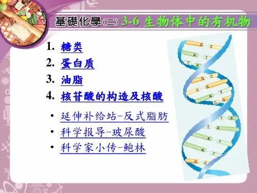 有机化合物-生物体中的有机物