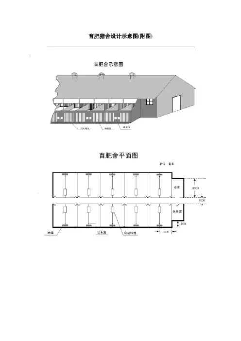 育肥猪舍设计示意图