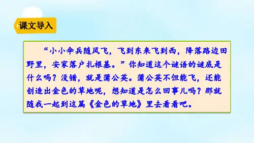 三年级上册语文课件-16 金色的草地-人教部编版(共35张PPT)