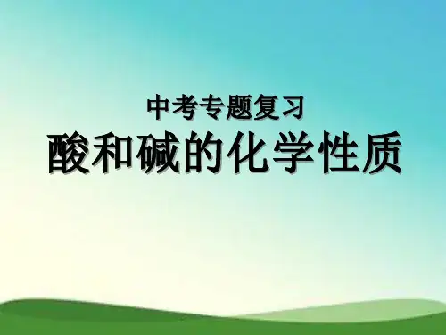 中考化学专项复习-酸和碱的化学性质(中考复习)-课件