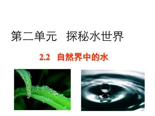 鲁教版化学八年级全一册(五四制)：2.2  自然界中的水