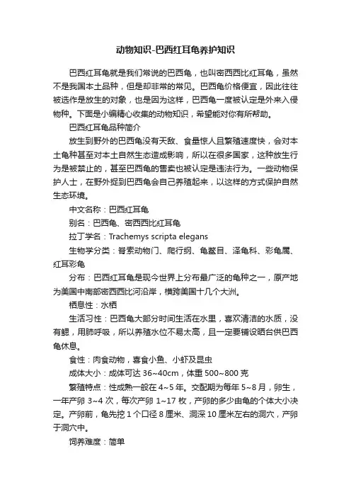 动物知识-巴西红耳龟养护知识