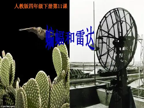 11课《蝙蝠和雷达》ppt课件