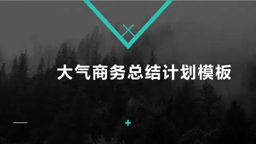 大气商务总结计划模板
