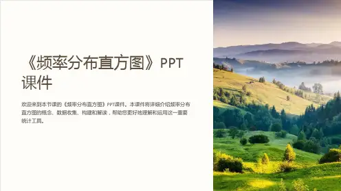 《频率分布直方图》课件