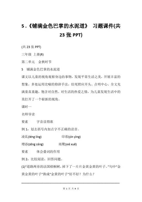 5 .《铺满金色巴掌的水泥道》 习题课件(共23张PPT)