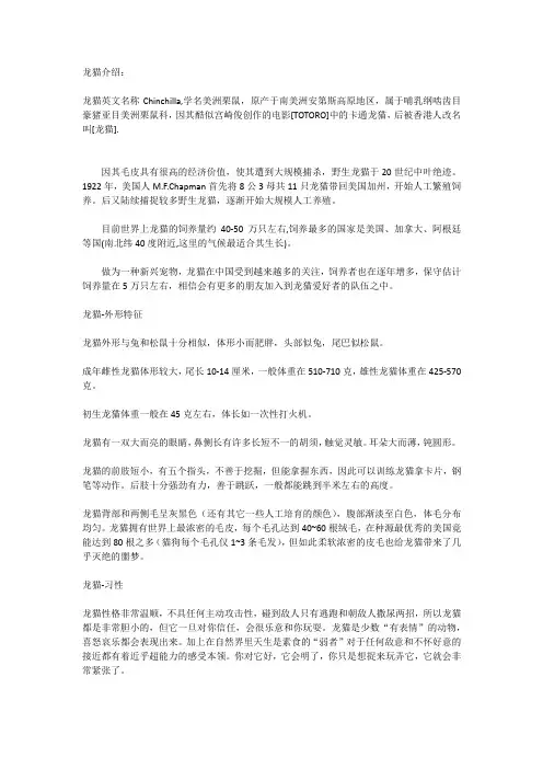 龙猫介绍较为全面