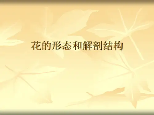 花的形态和解剖结