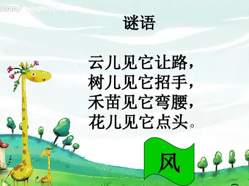 《风娃娃》课件PPT