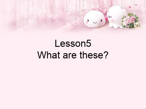最新四年级英语下册Lesson5《Whatarethese》 1科普版优选教学课件