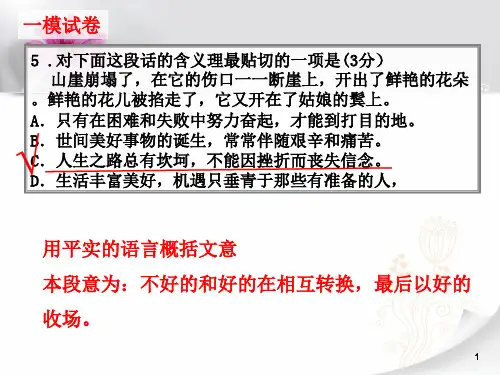 理解句子含义ppt课件