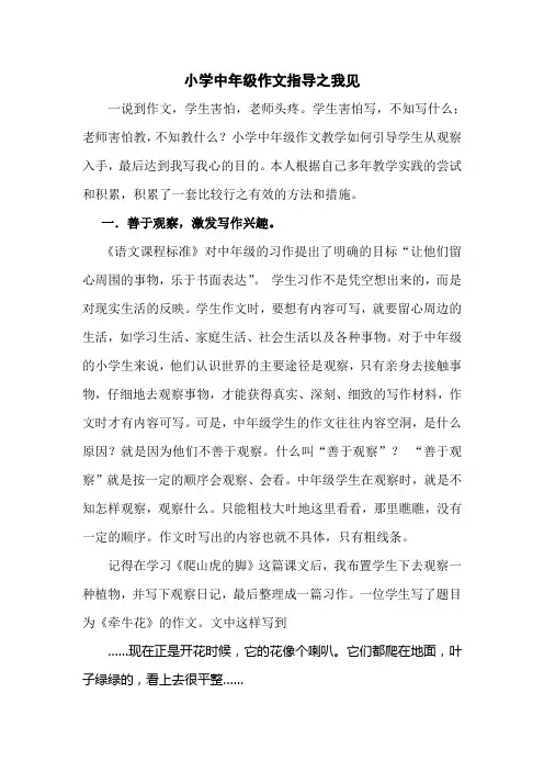 小学中年级作文指导之我见