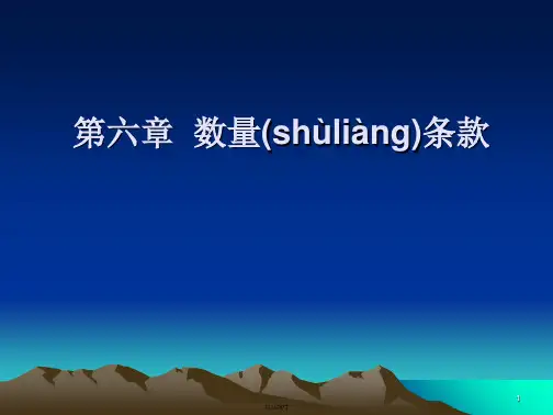 第六章 数量条款