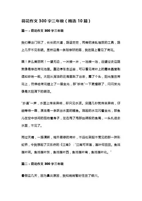 三年级作文荷花300字范文