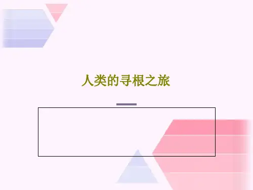 人类的寻根之旅32页PPT