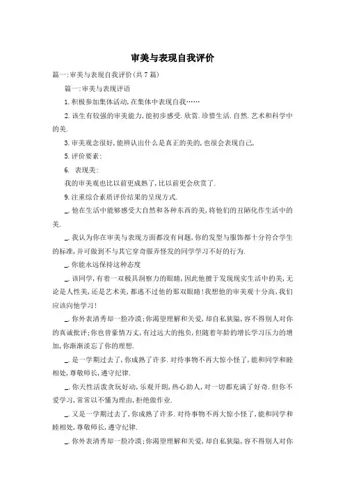 审美与表现自我评价