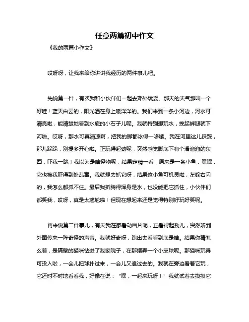 任意两篇初中作文