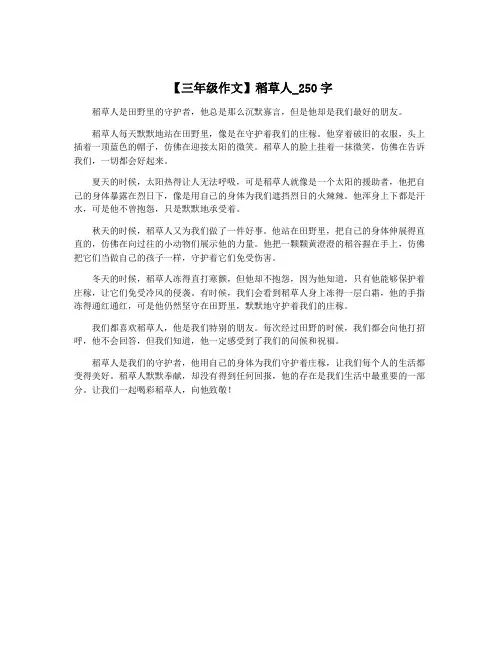 【三年级作文】稻草人_250字