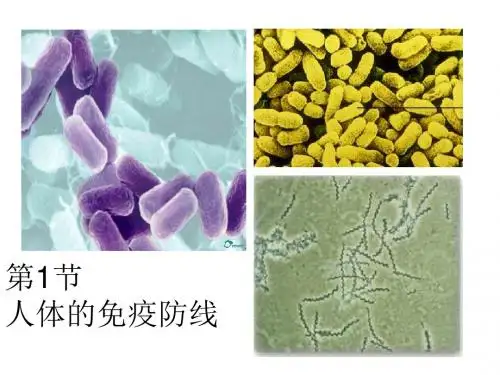 苏科版八年级下册8.23-1《人体的免疫防线》教学课件(共63张PPT)