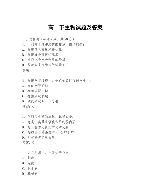 高一下生物试题及答案