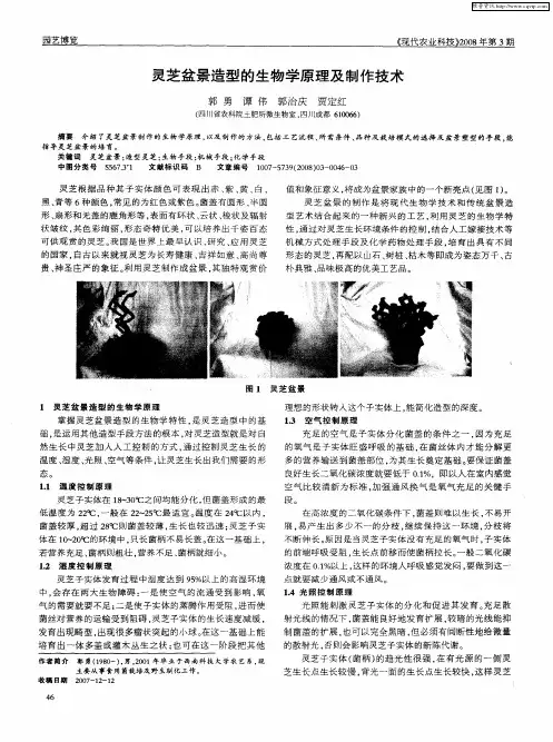 灵芝盆景造型的生物学原理及制作技术