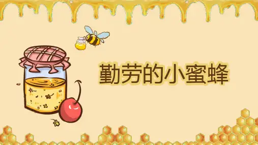 勤劳的小蜜蜂(幼儿园介绍小蜜蜂优秀ppt)