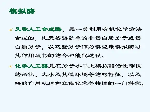 酶的模拟