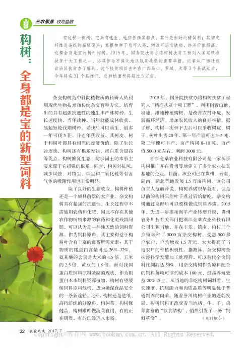 构树：全身都是宝的新型饲料