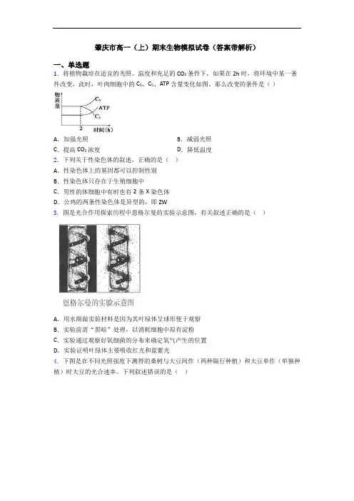 肇庆市高一(上)期末生物模拟试卷(答案带解析)