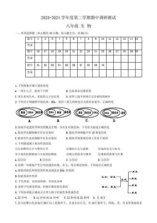 江苏省宿迁市宿城区2023-2024学年八年级下学期期中考试生物试卷(含答案)