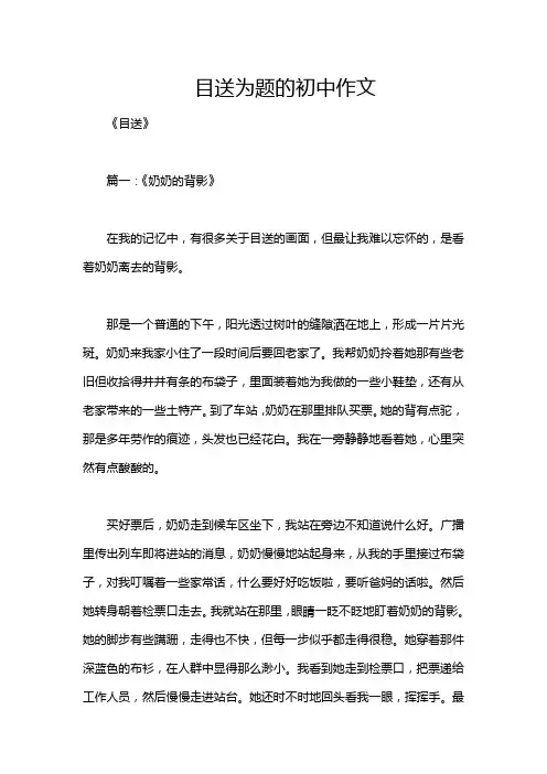 目送为题的初中作文