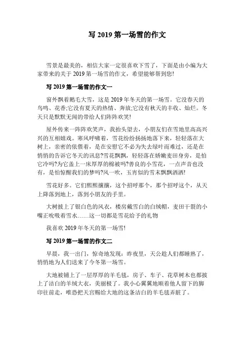 写2019第一场雪的作文