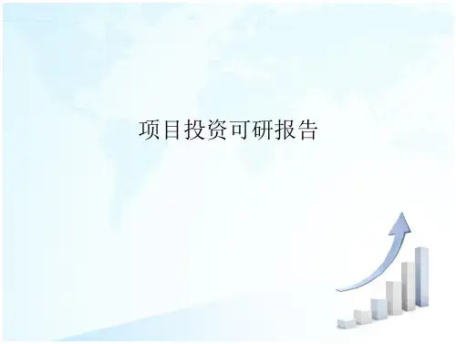 项目投资可行性报告报告完整版(29页)