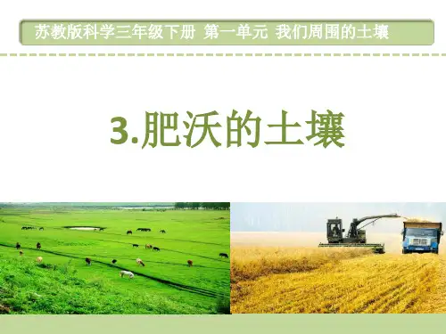 苏教版小学科学三年级下册3.肥沃的土壤优秀课件