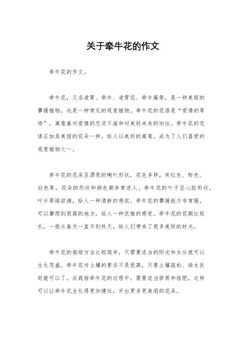 关于牵牛花的作文
