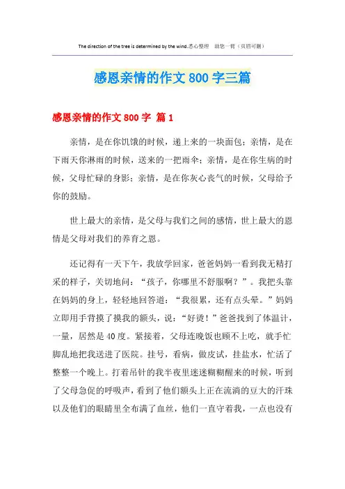 感恩亲情的作文800字三篇