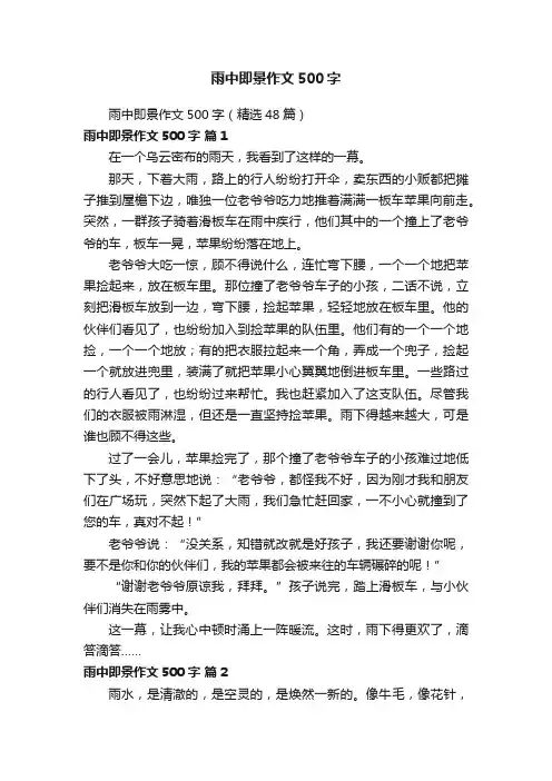 雨中即景作文500字（精选48篇）