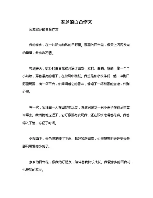 家乡的百合作文