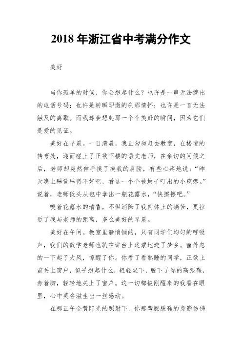 2018年浙江省中考满分作文