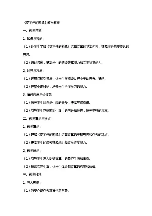 《捉不住的鼬鼠》教学教案