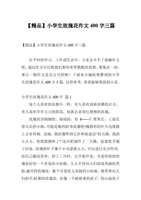 【精品】小学生玫瑰花作文400字三篇