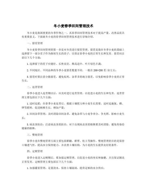 冬小麦春季田间管理技术 2
