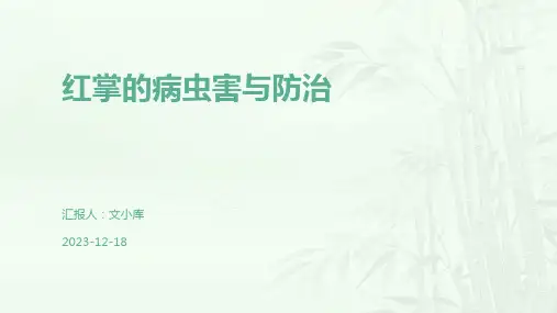 红掌的病虫害与防治