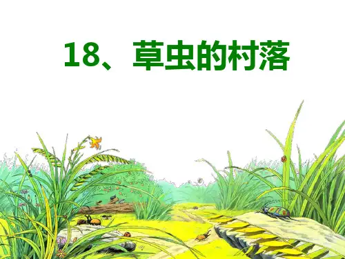 六年级上册语文13 草虫的村落 人教新课标 (共30张)PPT课件