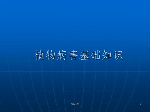 《植物病害基础知识》PPT课件